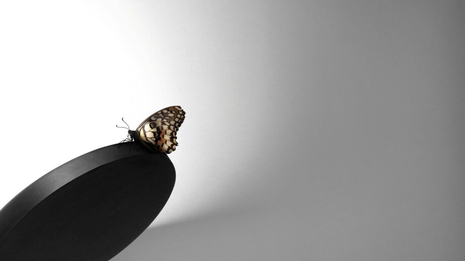 Flap Wall Lamp Arkoslight