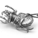 Bug