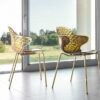 Saint Tropez Chair Calligaris