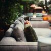 Snap sofa | Lema. Snap sofa by Francesco Rota offers versatile modular configurations, plush comfort with feather upholstery, and modern design with chrome feet.