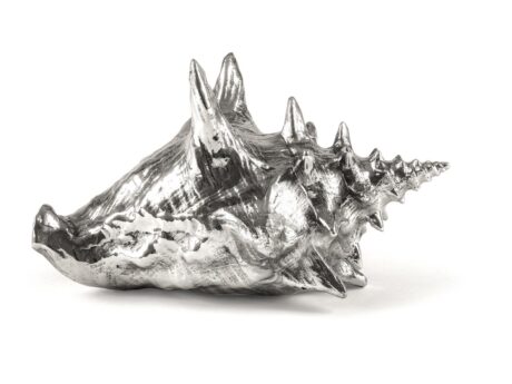 Shell