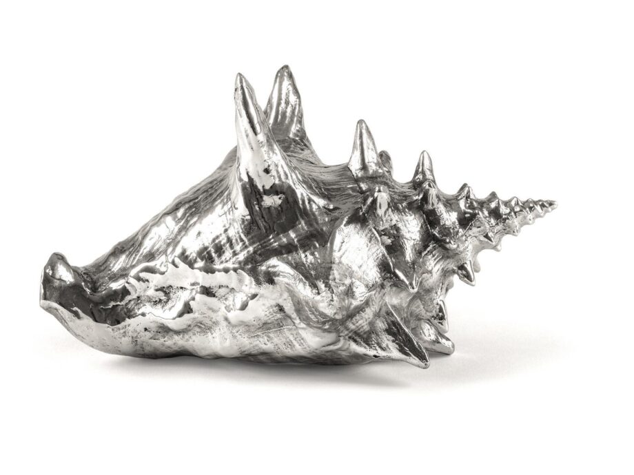 Shell decorative object | Seletti. Wunderkammer decorative object in gold-hued metal, featuring wolf skulls, snakes, and mysterious bones. Uncommon and extraordinary.